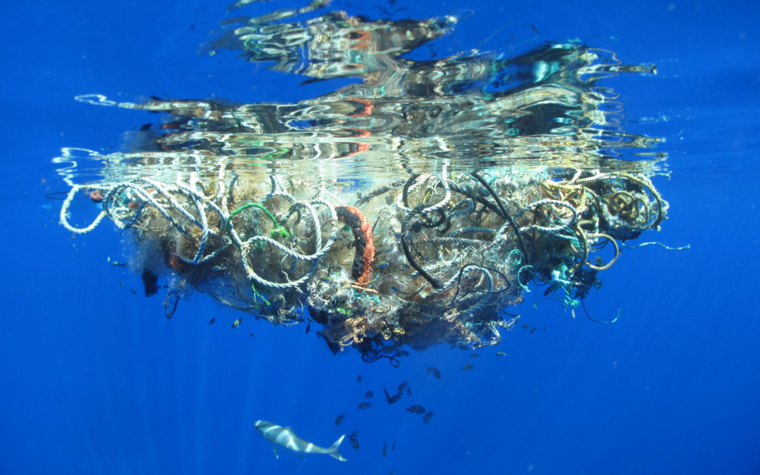 Ocean plastiku – wielka pacyficzna plama śmieci