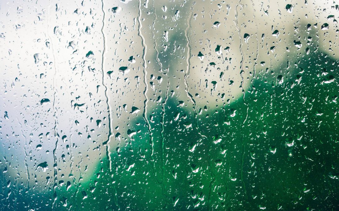 Wykorzystanie deszczówki – sposób na deficyt wody
