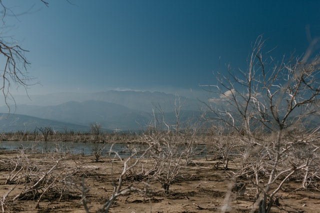 Innowacje ze świata – jak dane pomagają Indiom pokonywać kryzysy suszy