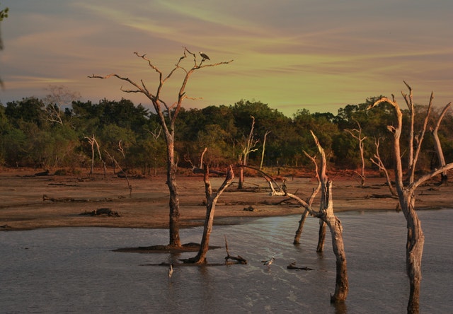 Innowacje ze świata – zarządzanie wodami gruntowymi jako sposób na suszę w Mozambiku